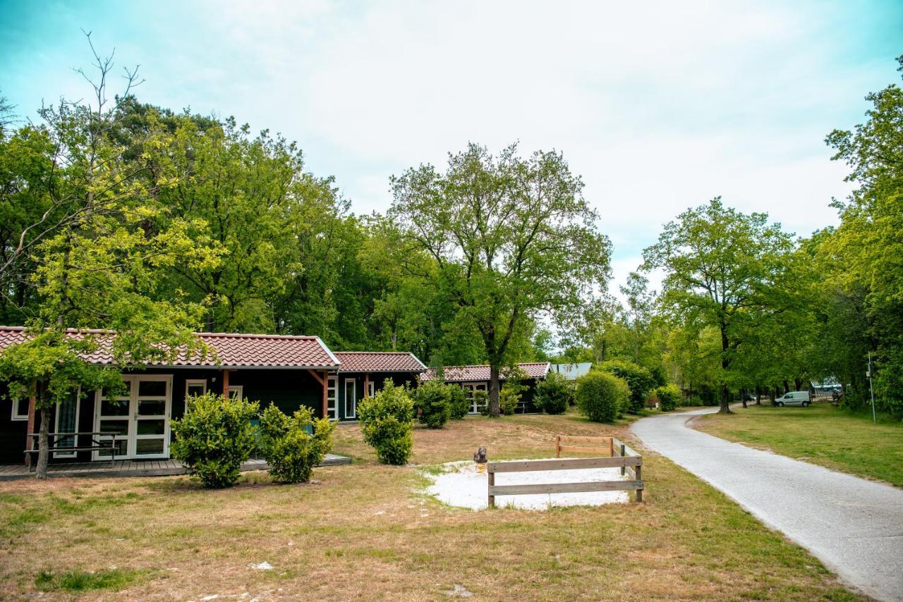 Hotel Europarcs Ruinen Extérieur photo