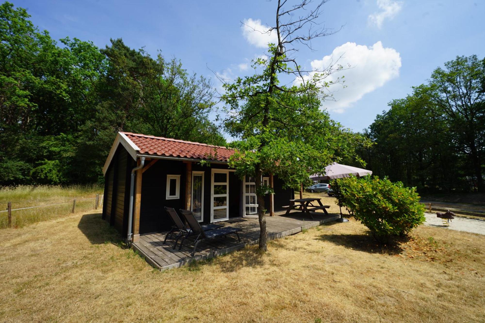 Hotel Europarcs Ruinen Chambre photo